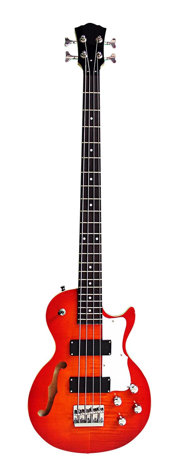 LP Style Bass Guitar