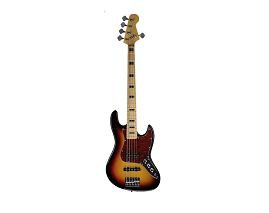 5 strings bas gita